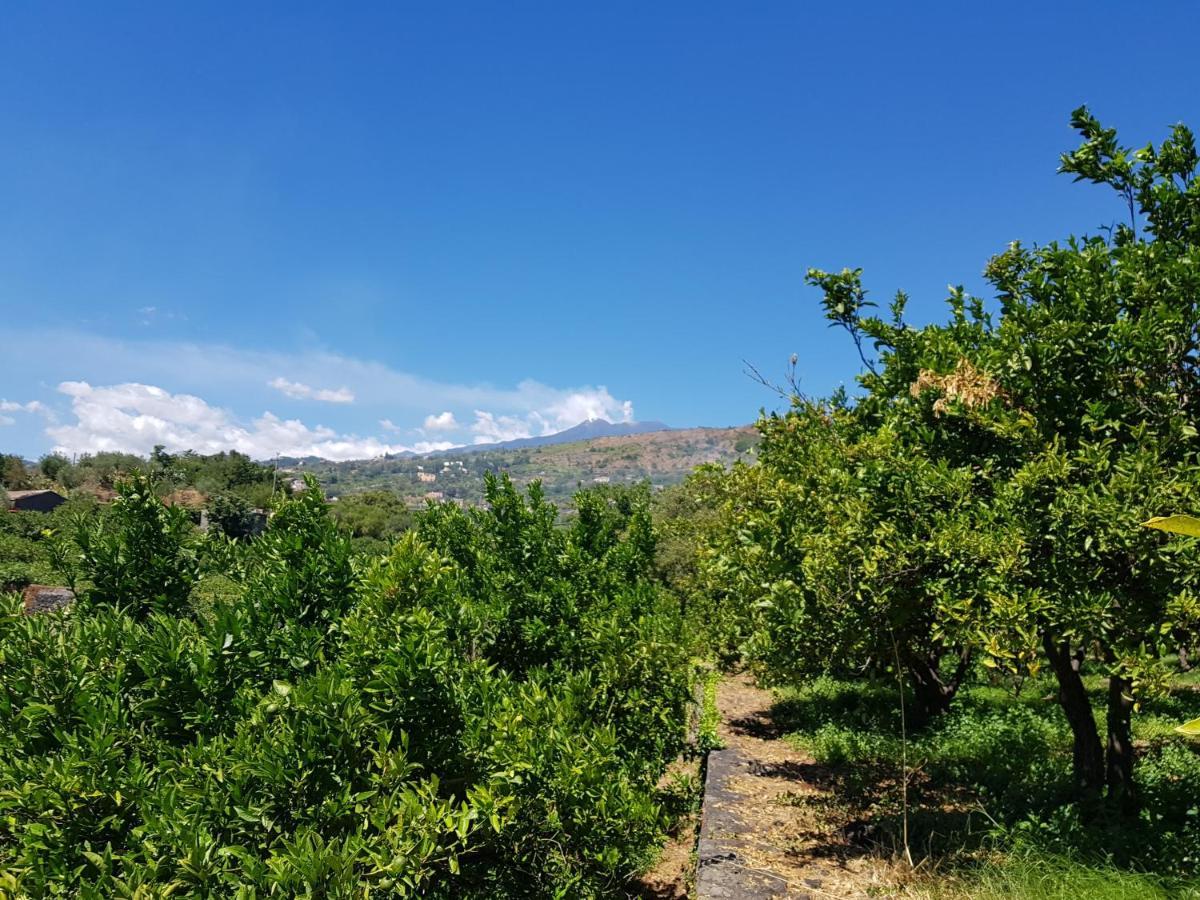 Agriturismo Le Case Di Civi Mascali Εξωτερικό φωτογραφία