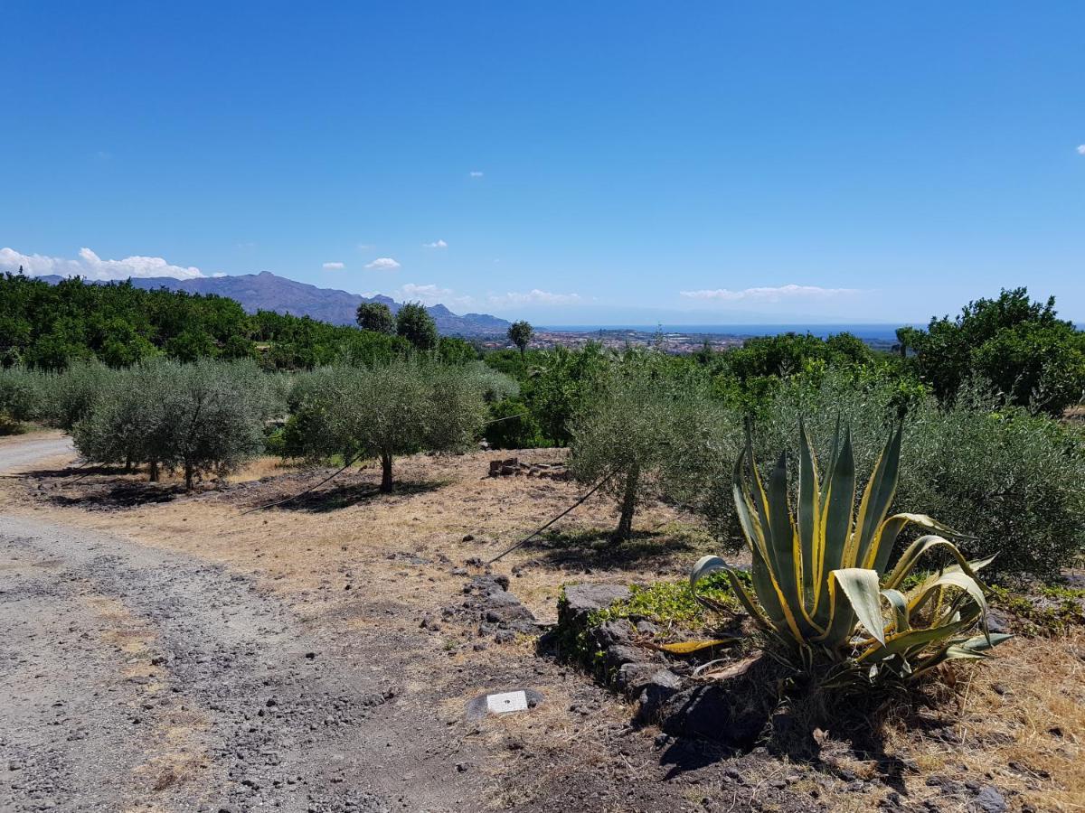 Agriturismo Le Case Di Civi Mascali Εξωτερικό φωτογραφία